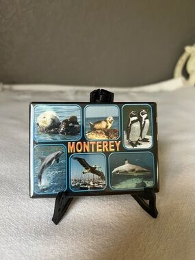 collectible rectangular refrigerator magnet featuring various marine life
